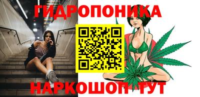 прущие крисы Нальчик