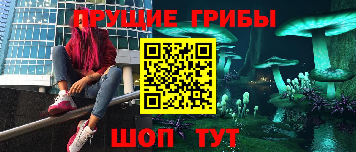 Псилоцибиновые грибы GOLDEN TEACHER  Галлюциногенные грибы MAGIC MUSHROOMS  магазин    Вход с VPN  Ставрополь 